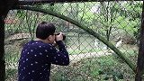 中南百草园景区