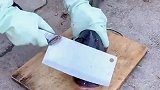 这鱼肯定练了铁头功