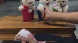 小可爱嘛！可聪明了！哎️飘