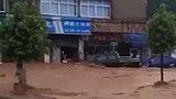 广东韶关：男子在洪水中抱树大喊救命，水流太急路人不敢贸然施救