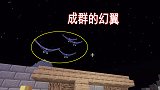 我的世界联机14：幻翼刷新频率太高，夜晚降临，小帕大战幻翼