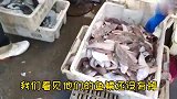 开海季第10天，青岛街头野生海货繁多，鳗鱼50一斤