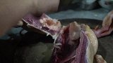 两只土鸭，桃子姐做一锅干锅鸭，做法豪迈，川味十足，家人都爱吃