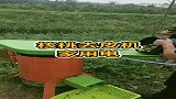 就这台机器，专业去除核桃皮，效率大大提高！