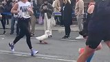 鸭穿上自己的专属运动鞋跑马拉松，虽然垫底了，但是一直在坚持鸭