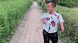 明明我是看热闹的，怎么我还成了一个热闹啊