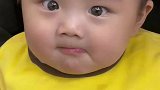 小家伙的表情还挺丰富，可以当表情包了
