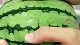 广东大叔今天在地里摘了个西瓜，结果掰开一看，这是个什么鬼啊！