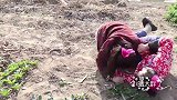 两美女为一块地争了起来，这时地的主人过来了，结局太搞笑了