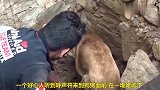 小狗狗被埋在废墟里，母亲向人类求救，大爱在人间