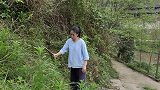 农村婆媳育苗黄瓜，婆婆把种植技术都教给了燕子，以后不怕失传了