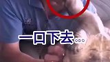 求大哥的心理阴影面积