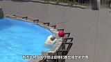 动物园的猩猩用树枝当梯子,上演大逃亡,镜头记录搞笑画面