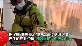 全国仅9只！江苏3胞胎虎宝降生，2只为珍稀雪虎