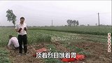 姚洪庆莲花落《蒜农难》心中有苦口难言
