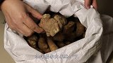 原来洋姜这样腌才最好吃，脆爽下饭又简单，腌好当天就能吃