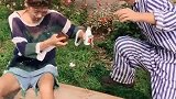 哎呀妈呀，你干嘛偷喝我的哇哈哈