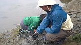 带着女朋友去挖象拔蚌，虽然过程很辛苦，但看到收获我满足的笑了