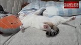 猫咪四脚朝天躺在床上睡觉，姿势也太奇了