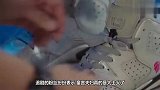 杨紫李现合体拍照大片,童言夫妇的CP感如何