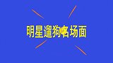 鹿晗在线遛狗险些被狗拽倒，直言差点就牵不住，明星遛狗系列