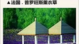 别去国外了！去了河南，就等于去了全世界，不信你看！
