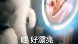 小猫咪你看啥呢？