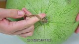 花3块钱买了一个大西瓜，用力掰开那一刻，才发现赚大了