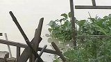 泉州警方悬赏万元征集“高压锅女尸”案线索 公布死者画像
