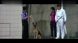 客串成龙大哥的电影,星爷依然爆笑无厘头,被警犬拖走太衰了!