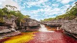 哥伦比亚最为神奇的河流，颜色变幻莫测，每年仅有5个月如此绚烂