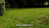 男子洞里发现一个宝贝，直接伸手去拉，不料被反咬一口