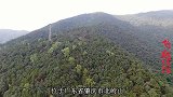 带你看肇庆北岭山廖氏早雾螺，广东十大名地之一，后代几十万