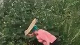 情侣在草丛发生关系 邻居大妈愤怒用木板狠打