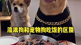 看到最后真的很感人