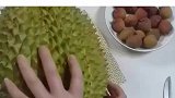 榴莲买回来竟然肉少，这是发育不良吗