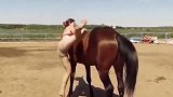 女子想要骑马，却怎么也上不去，接下来马儿的做法实在太暖心了