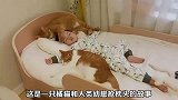 小橘猫喜欢和人类幼崽抢枕头，抢着抢着就长大了!