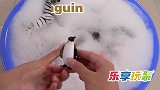 乐享动物乐园带你认识温顺虎鲨和深海龙虾