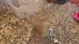 微波炉不能加热水，别问我是咋知道的
