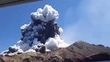 实拍新西兰怀特岛火山喷发 或多达20人受伤，多人下落不明