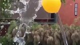 一根水管与皮球的互动