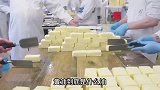 黄油到底是什么油