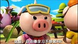 猪猪侠：三只小猪准备自己盖房子，不料被大灰狼盯上了
