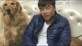 女主人假装打男主人测试妞妞欢欢的反应，结果男主人扎心！
