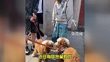 张雨绮与绯闻男友李柄熹一同遛狗，张雨绮超级温柔