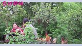 胖妹打探奶奶小金库，奶奶允诺胖妹要买猪肉，胖妹一听心里美滋滋