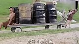 盘点监狱风云最精华的几段 ，论发哥是怎么坑龙哥的