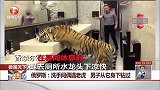 俄罗斯：洗手间偶遇老虎 男子从它身下钻过