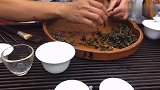 安溪铁观音产地探秘，铁观音秋茶真的比春茶好？要看这两点！